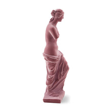 Charger l&#39;image dans la visionneuse de la galerie, Statue de Vénus en velours
