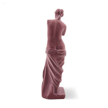 Load image into Gallery viewer, Velvet Venus Statue
